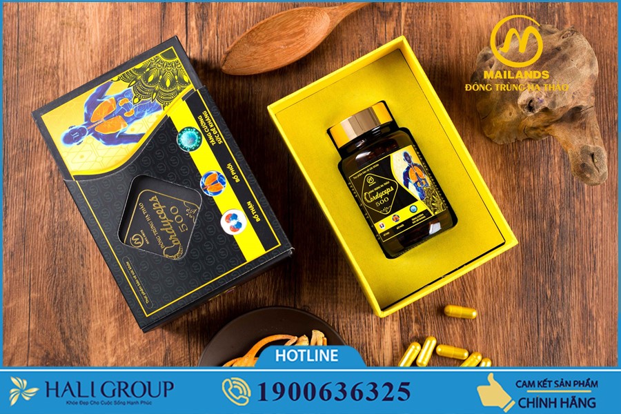 Giới thiệu Viên Nang Đông Trùng Hạ Thảo 500 Mailands tại Sài Gòn