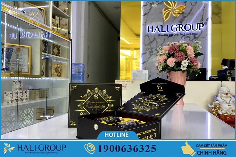 Phân phối Đông Trùng Hạ Thảo Cordyceps 950 ở Sài Gòn