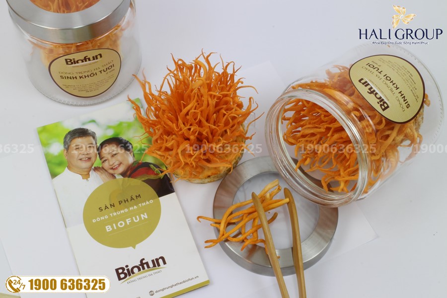 Bán Đông Trùng Hạ Thảo Biofun Việt Nam đại lý cấp 1 uy tín