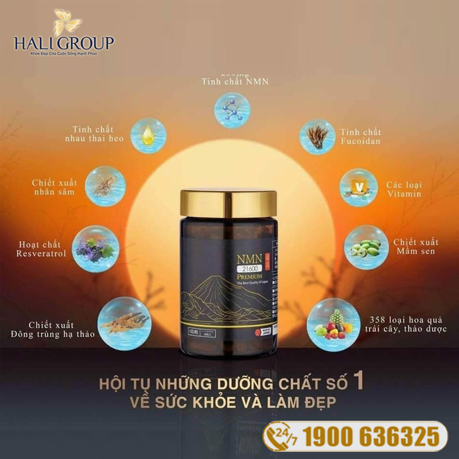 Viên uống NMN của Nhật có tốt không?