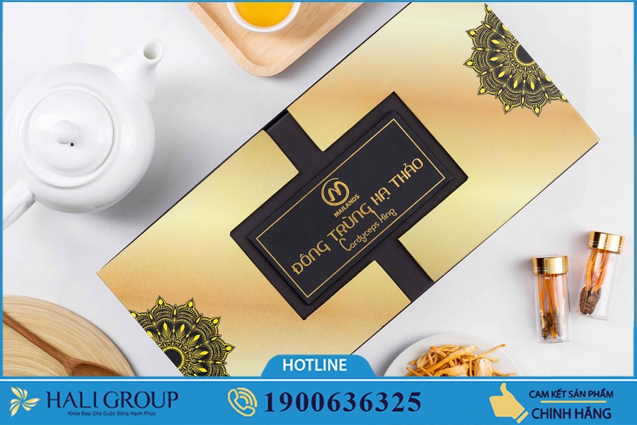 Giới thiệu Đông Trùng Hạ Thảo Mailands trên toàn quốc
