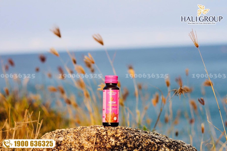 Một số thông tin về các nhãn hiệu đông trùng hạ thảo uy tín nhất trên toàn quốc