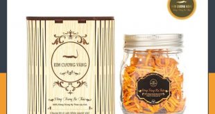 Phân phối đông trùng hạ thảo khô Kim Cương Vàng sinh khối hộp 10g chính hãng