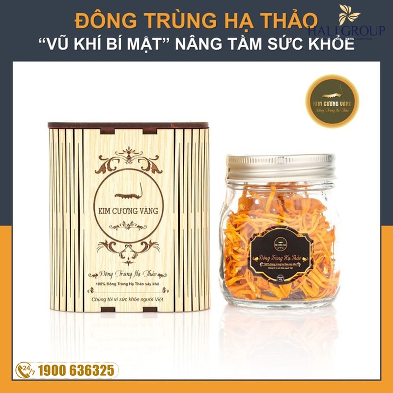Phân phối đông trùng hạ thảo khô Kim Cương Vàng sinh khối hộp 10g chính hãng