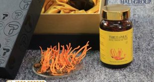 Nơi bán đông trùng hạ thảo nguyên con Thiên Phúc tại HCM