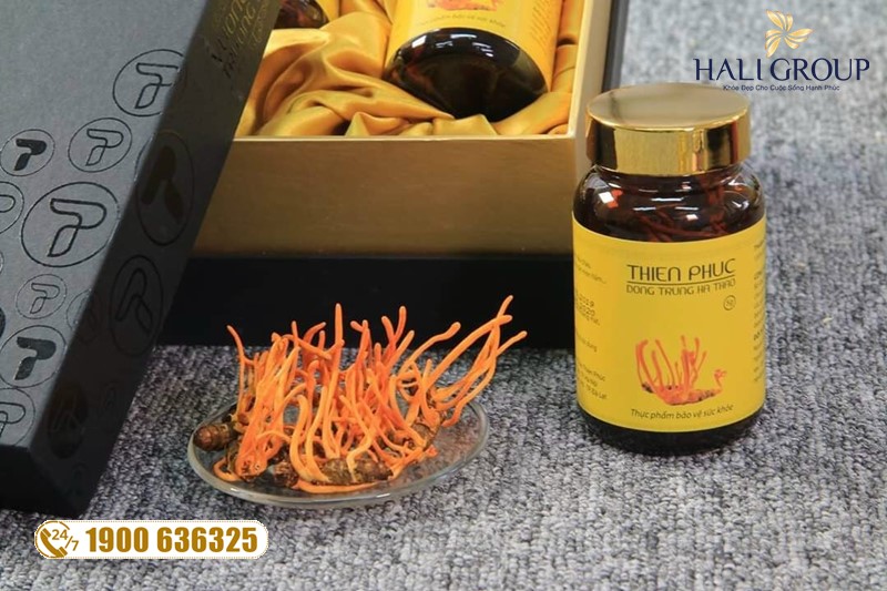 Nơi bán đông trùng hạ thảo nguyên con Thiên Phúc tại HCM