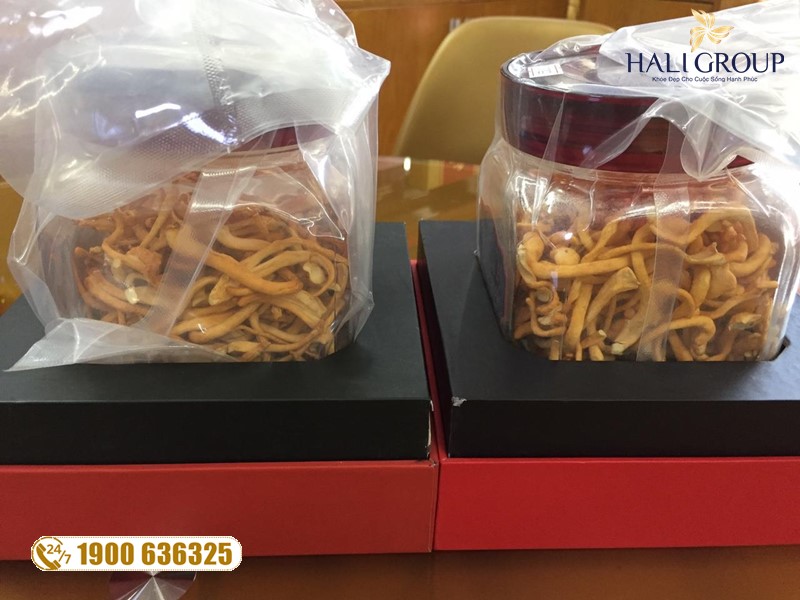 Đông trùng hạ thảo Thiên Phúc - sản phẩm uy tín hàng đầu Việt Nam