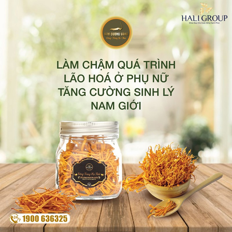 Giải đáp: Câu hỏi thường gặp khi sử dụng sản phẩm Đông Trùng Hạ Thảo Kim Cương Vàng