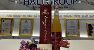 Feedback về Nước Uống Collagen Hebora của chị em phụ nữ sau một thời gian sử dụng sản phẩm