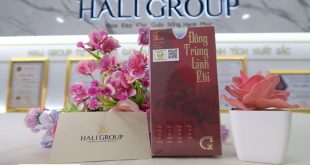 Cảm nghĩ về đông trùng linh chi ăn ngủ ngon của chị em phụ nữ sau khi sử dụng